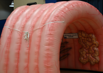 Exterior of pink inflatable modeling the human colon