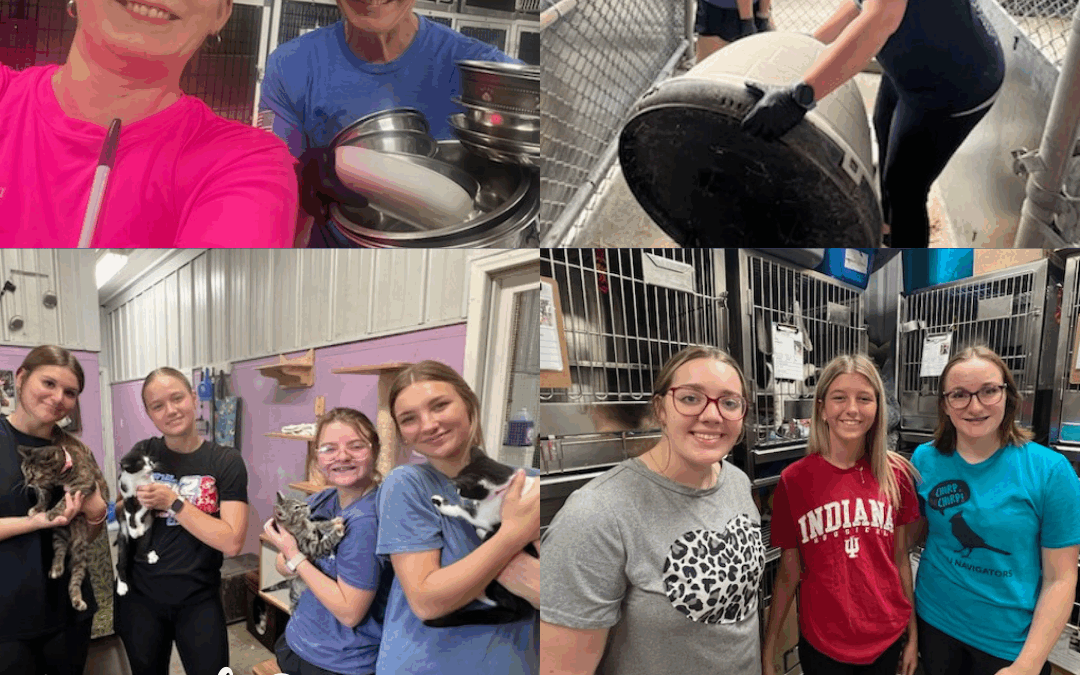 DCMH Volunteers Lend Helping Hands at United Fund Day of Caring