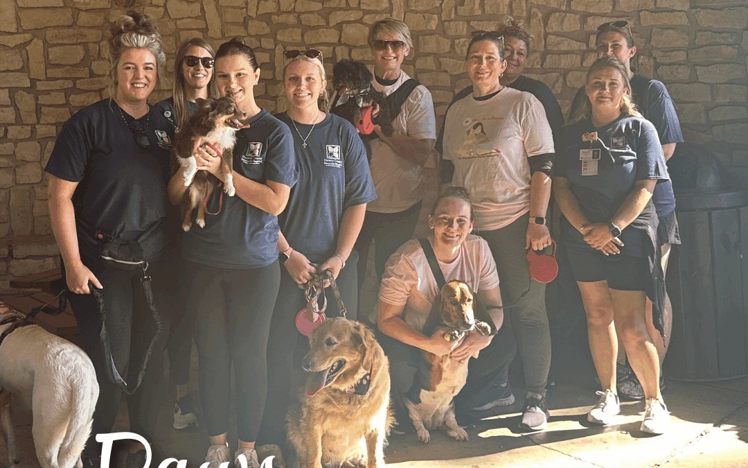 “Paws for a Purpose” Honors Memory of Riley Duerstock and Supports Future Nurses